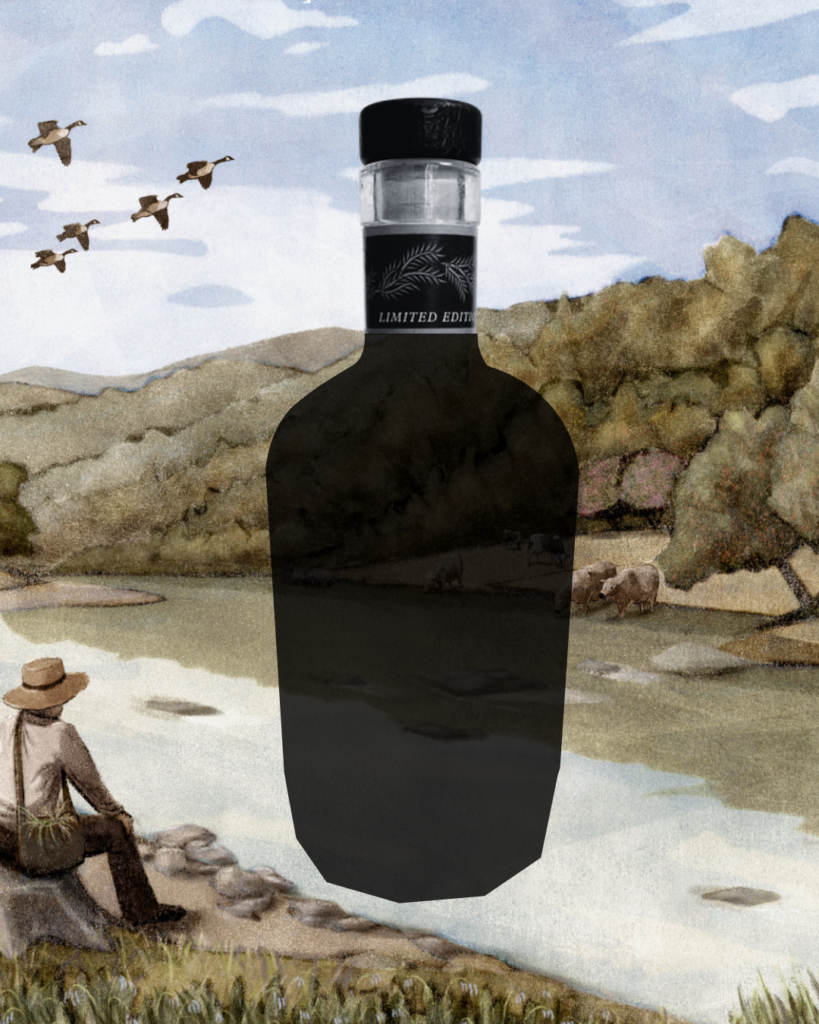 Shadow of Gin Bottle