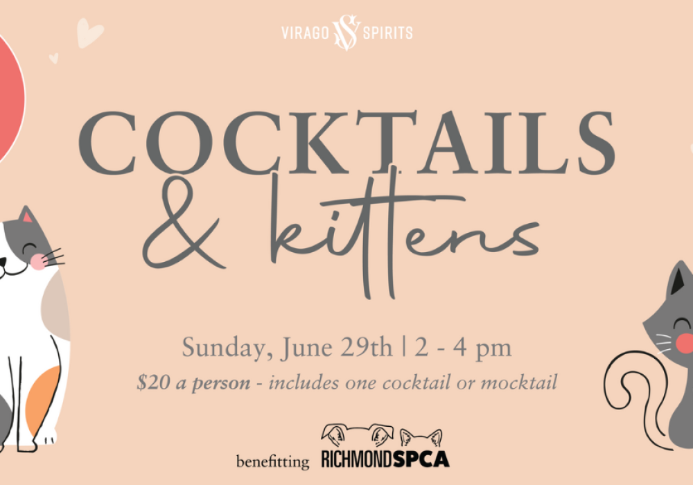 Cocktail & Kittens at Virago