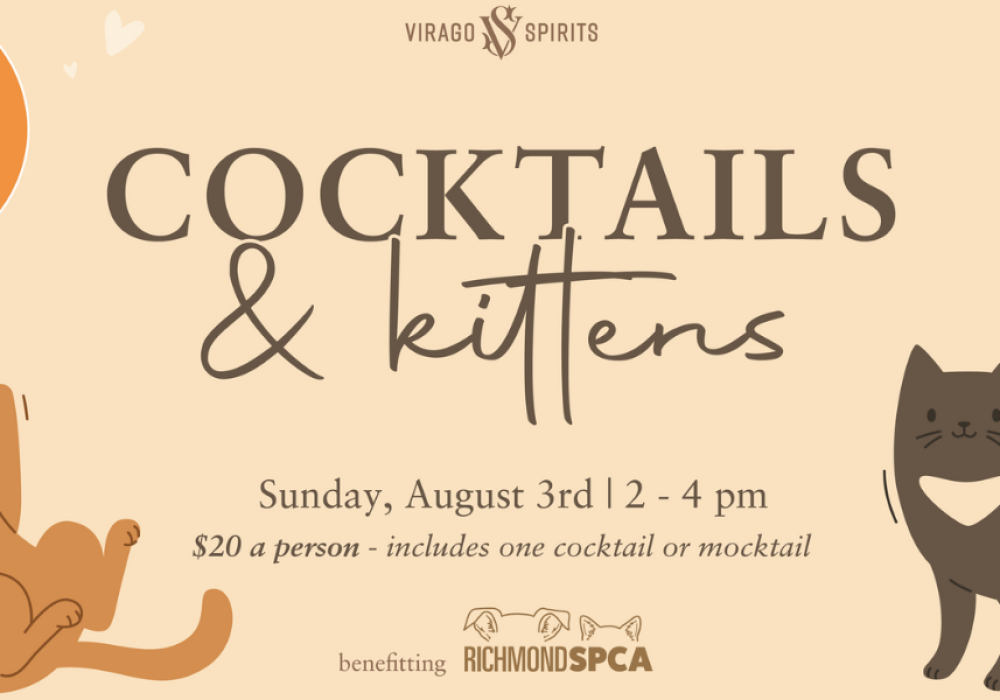 Cocktails and Kittens flyer with kittens playing