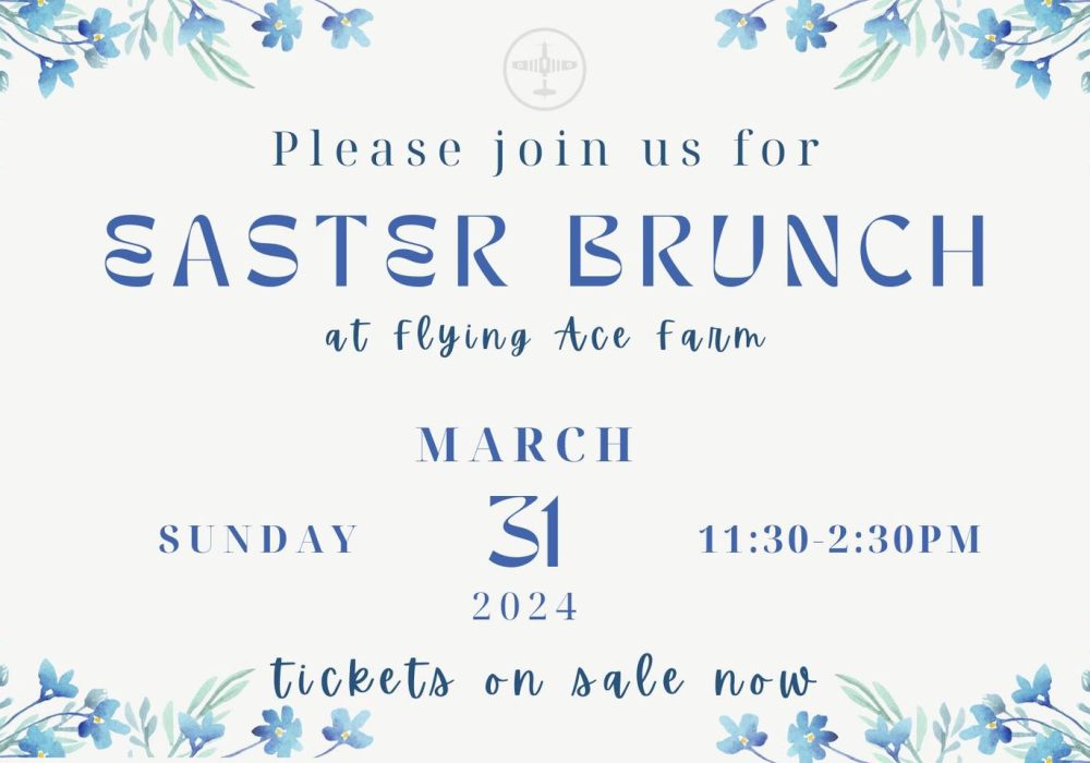 Easter Brunch Flying Ace