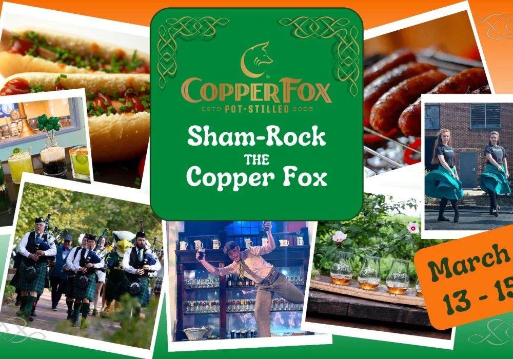 Sham-Rock+The+Copper+Fox